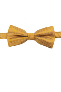 BOW TIE - Gold